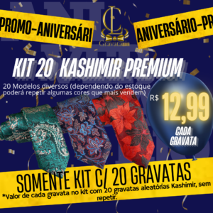 Promoção kit com 20 Gravatas Kashimir Premium 2400 fios