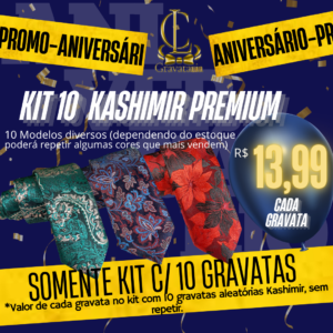 Promoção kit com 10 Gravatas Kashimir Premium 2400 fios